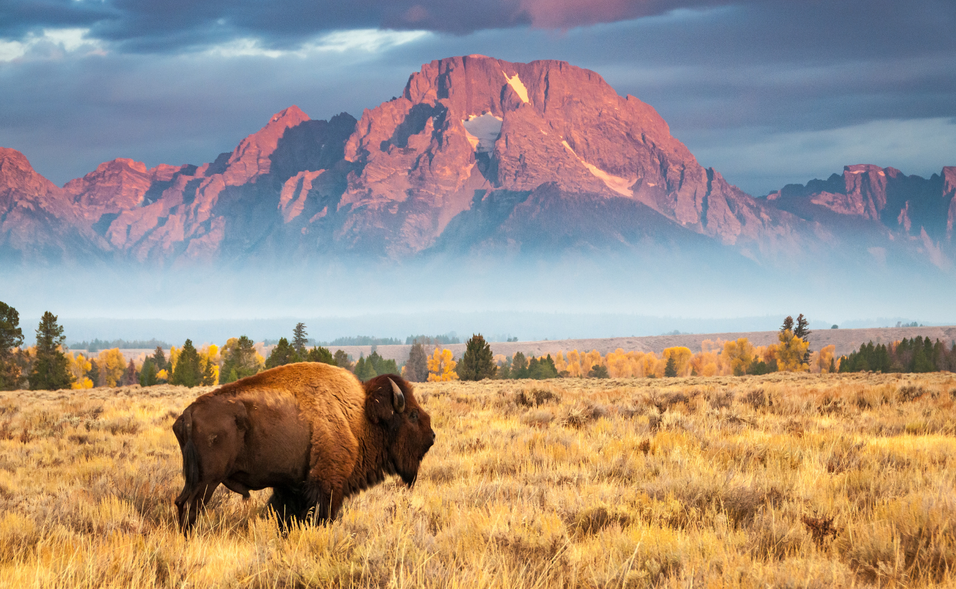 Wyoming, USA - where power meets open land.