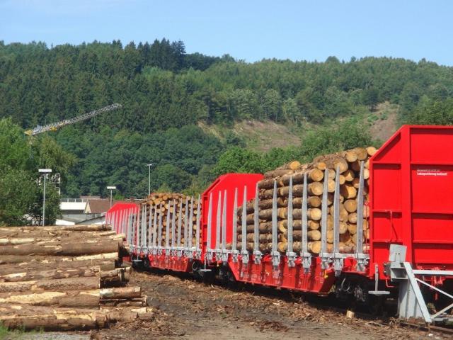 24 x Roos -t Wood transport railcars for sale