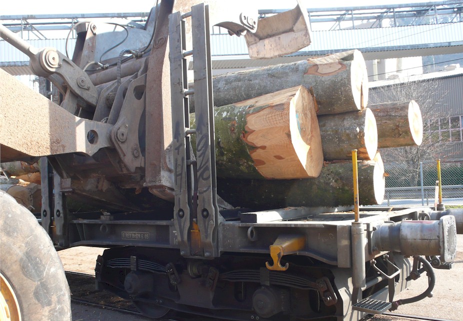 50 x Snps 4 axle flat cars for timber and wood transport for sale – Bild 11